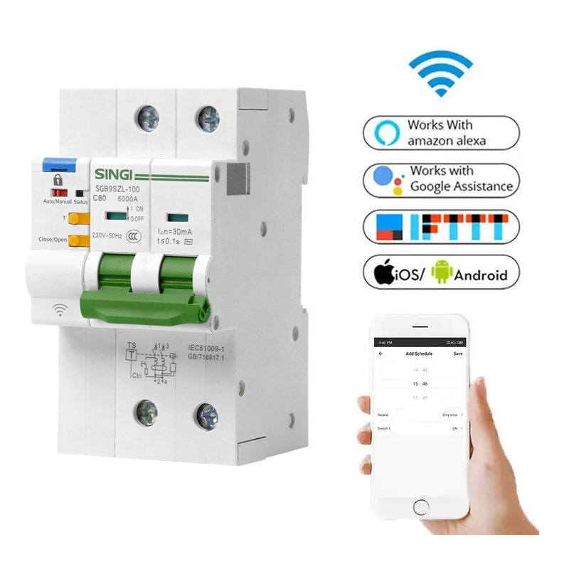 SGB9SZL-100 (6KA) WLAN-MCB